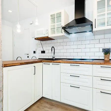 公寓 Apartamento Olas Sunrise 托雷维耶哈